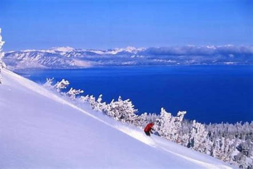 Ski In/Out - Zalanta - Great Location- 2 Hot Tubs - Heated Pool South Lake Tahoe Bagian luar foto